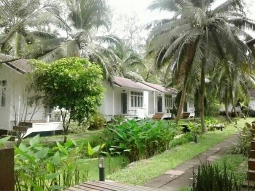 ยัง โคโคนัท การ์เดน โฮม รีสอร์ต (Young Coconut Garden Home Resort)0