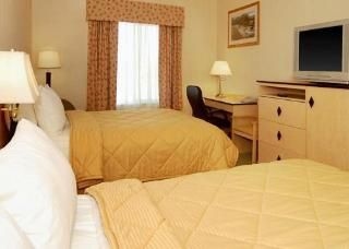 Comfort Inn & Suites Airport1
