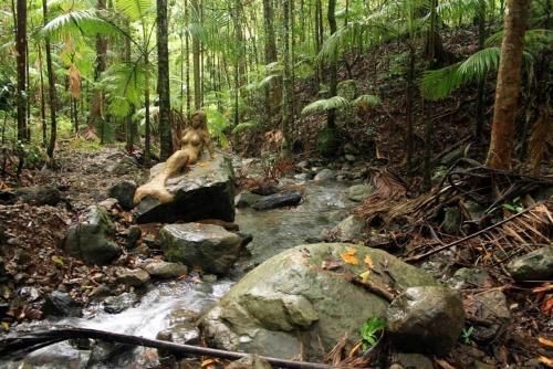 Rainforest Hideaway4