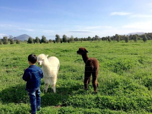 Taras Richmond Farmstay0