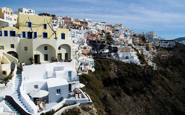 Helianthus Suites0