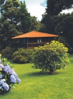 Quinta Das Eiras2