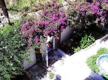Koralli Studios0