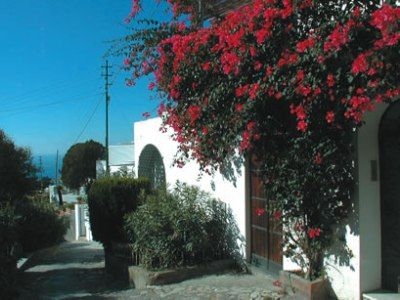 Senaria1