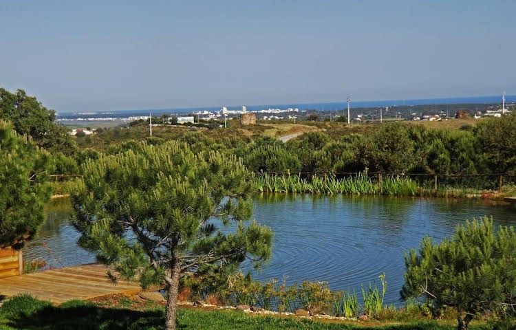 Casa de Campo Vale do Asno0