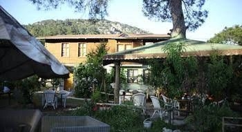 Koala Bungalows0