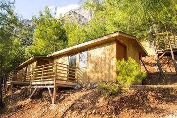 Tree Houses0