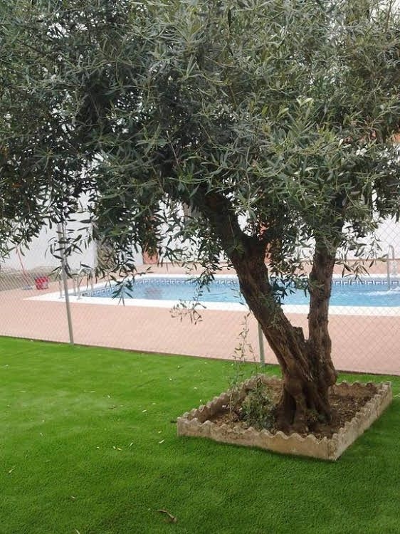 Apartamentos Turisticos Domus Aquae0