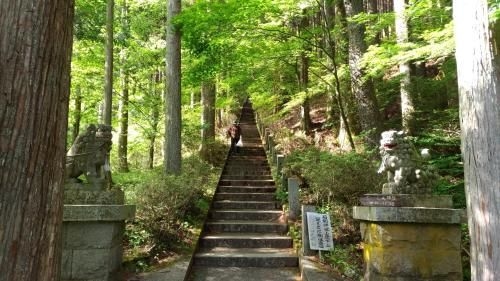 B&B & Holiday house Step House (Step House)2