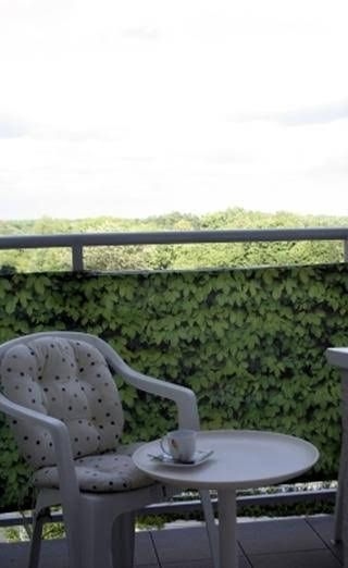 Apartament Primore0