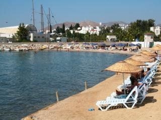 Alta Beach Hotel4