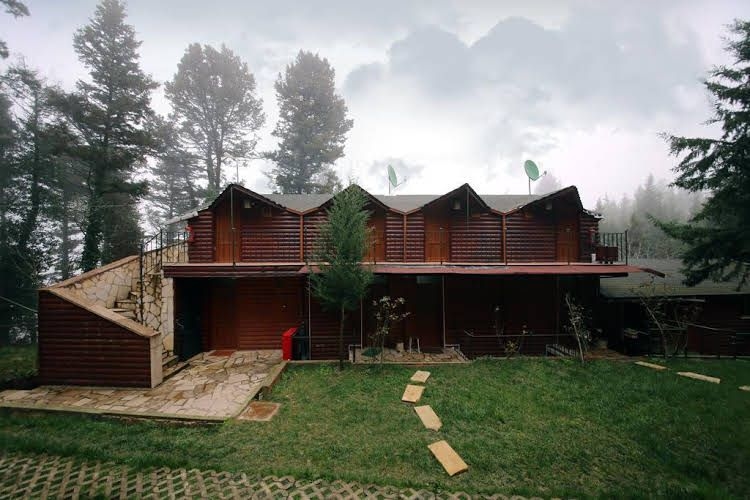 Forest Lodge0