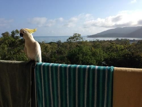 Island View Bed and Breakfast1