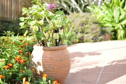Rosevillehouse Bed & Breakfast2