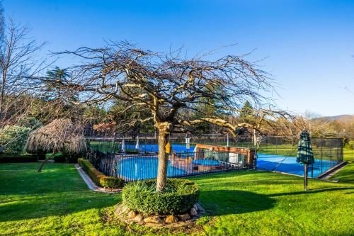 Chestnut Tree Holiday Units2