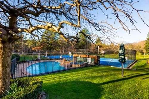 Chestnut Tree Holiday Units1
