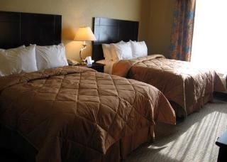 Comfort Inn & Suites Near the AT&T Center1