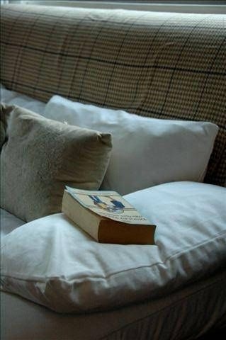 Blue Bird Cottage0