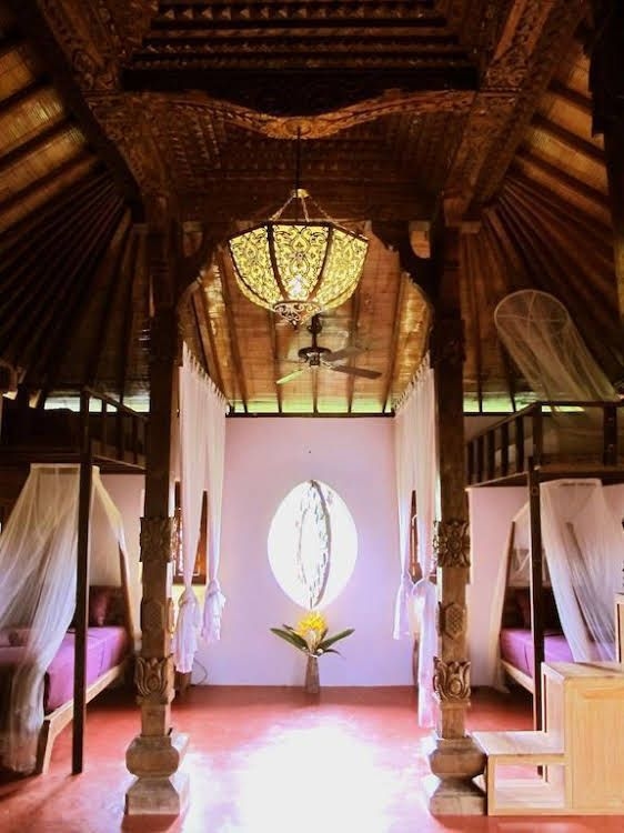 Dragonfly Village0