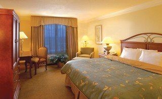 Rosen Centre Resort1