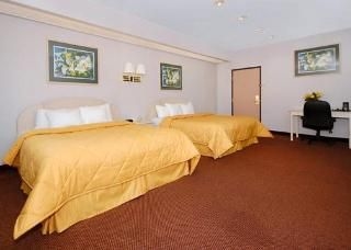 Comfort Inn & Suites1