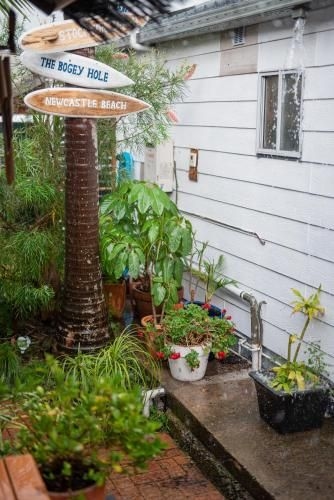 Backpackers Newcastle3