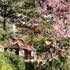 Osaka Village DaLat0