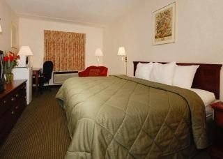 Comfort Inn & Suites1