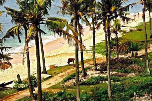 Mandala Bali0