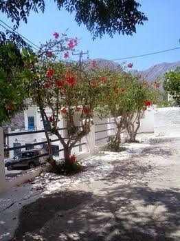 Tilos Mare0