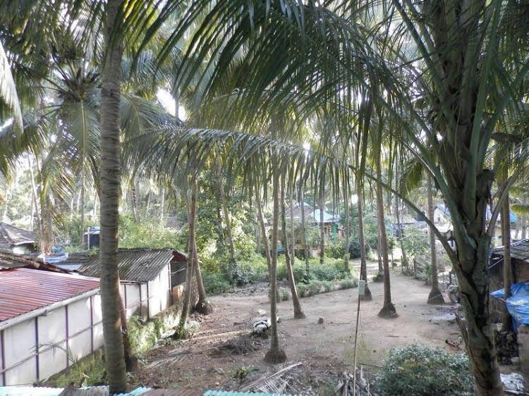 Sun N Moon Guest House0
