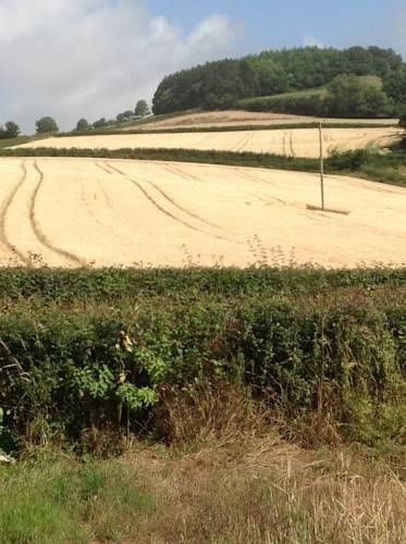 Lower Pinn Farm0