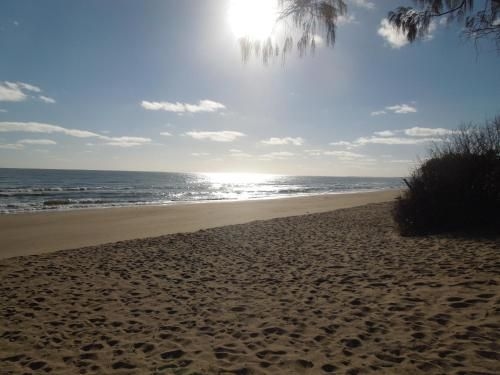 Moore Park Beach Motel2