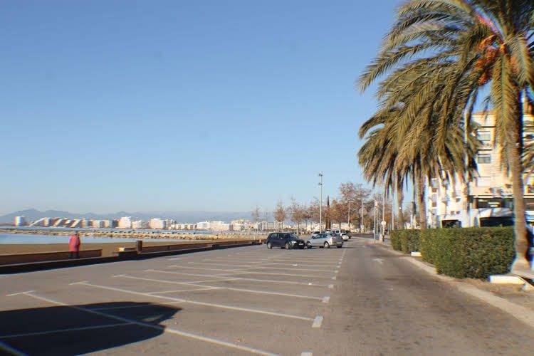 Agi Sant Antoni0