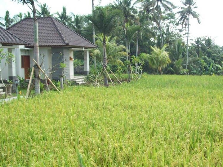 Pondok Made0