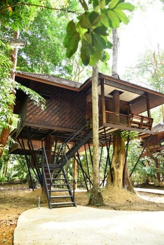 เขาสกเนเชอร์ รีสอร์ท (Khao Sok Nature Resort)0