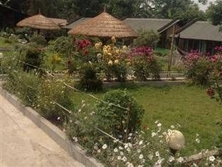Chitwan Resort Camp0