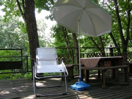 Hayashi Pension4