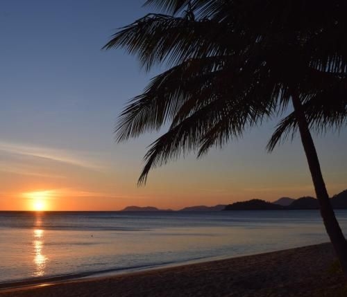 South Pacific Bed & Breakfast3