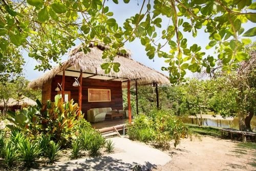 แร๊บบิท บังกะโล (Rabbit Bungalow)0