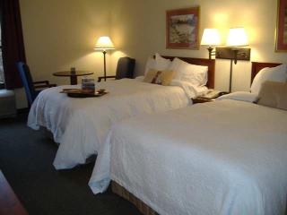 Hampton Inn Greenville Airport4