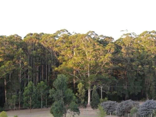 Big Brook Cottages4