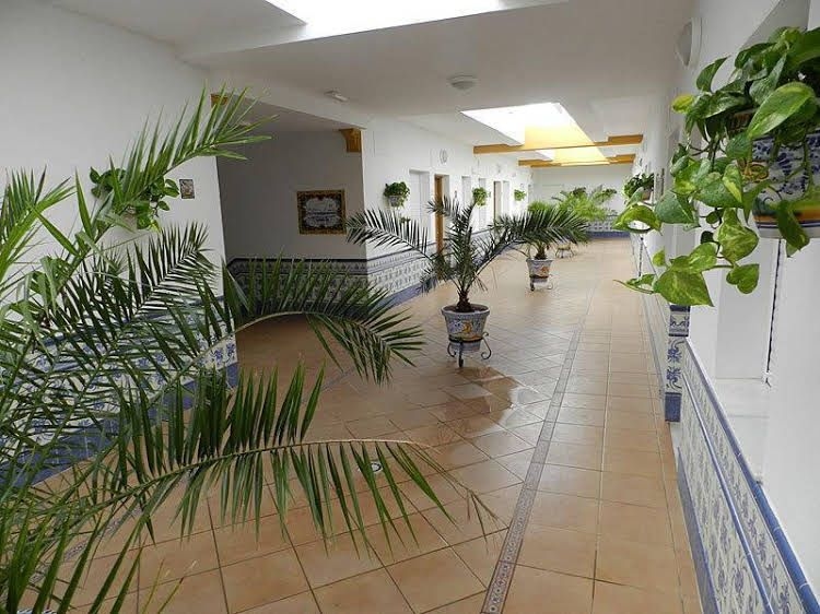 Apartamentos Conil Alquila0