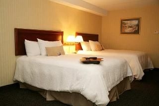 Hampton Inn Niagara Falls North4