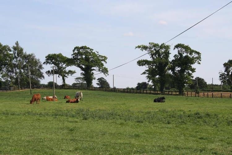 Moate Lodge0