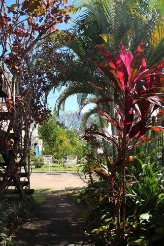 Asylum Cairns Hostel (Asylum Cairns Backpackers Hostel)0
