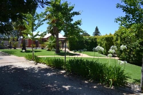 Barossa Dreams1