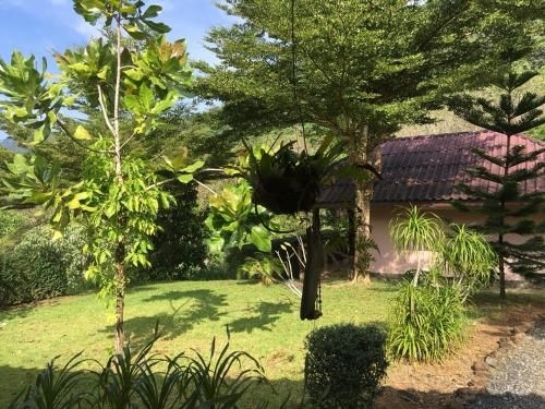 เขาสก ฮิลล์ท็อป รีสอร์ท (Khao Sok Hill Top Resort)2