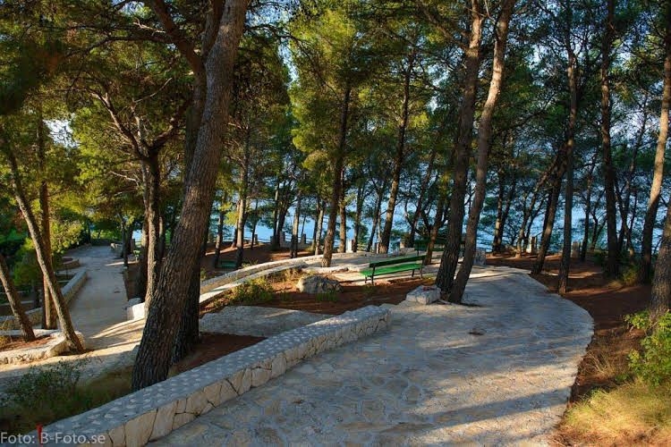 Apartments Lavica0
