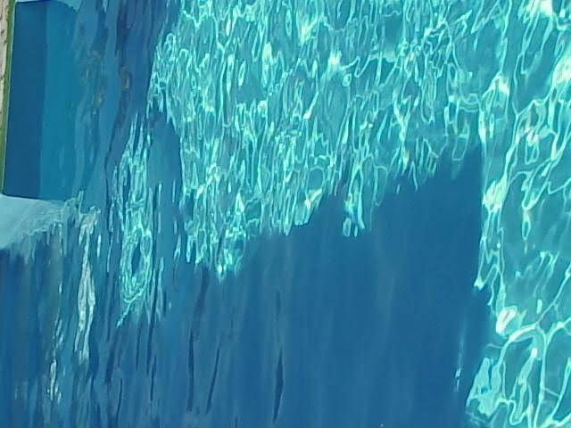 House and Pool0